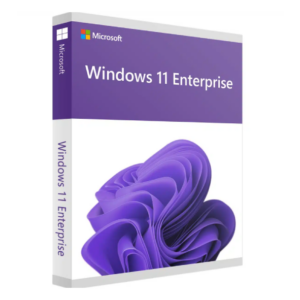 Windows 11 Enterprise Key
